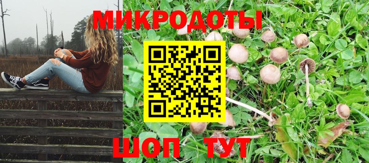 Псилоцибиновые грибы Psilocybine cubensis  Вход с VPN  Новошахтинск 